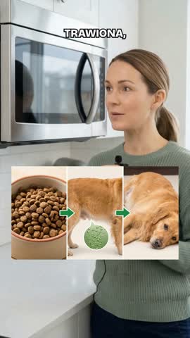 Why it matters beat of the remade ad, with a three-panel diagram on screen